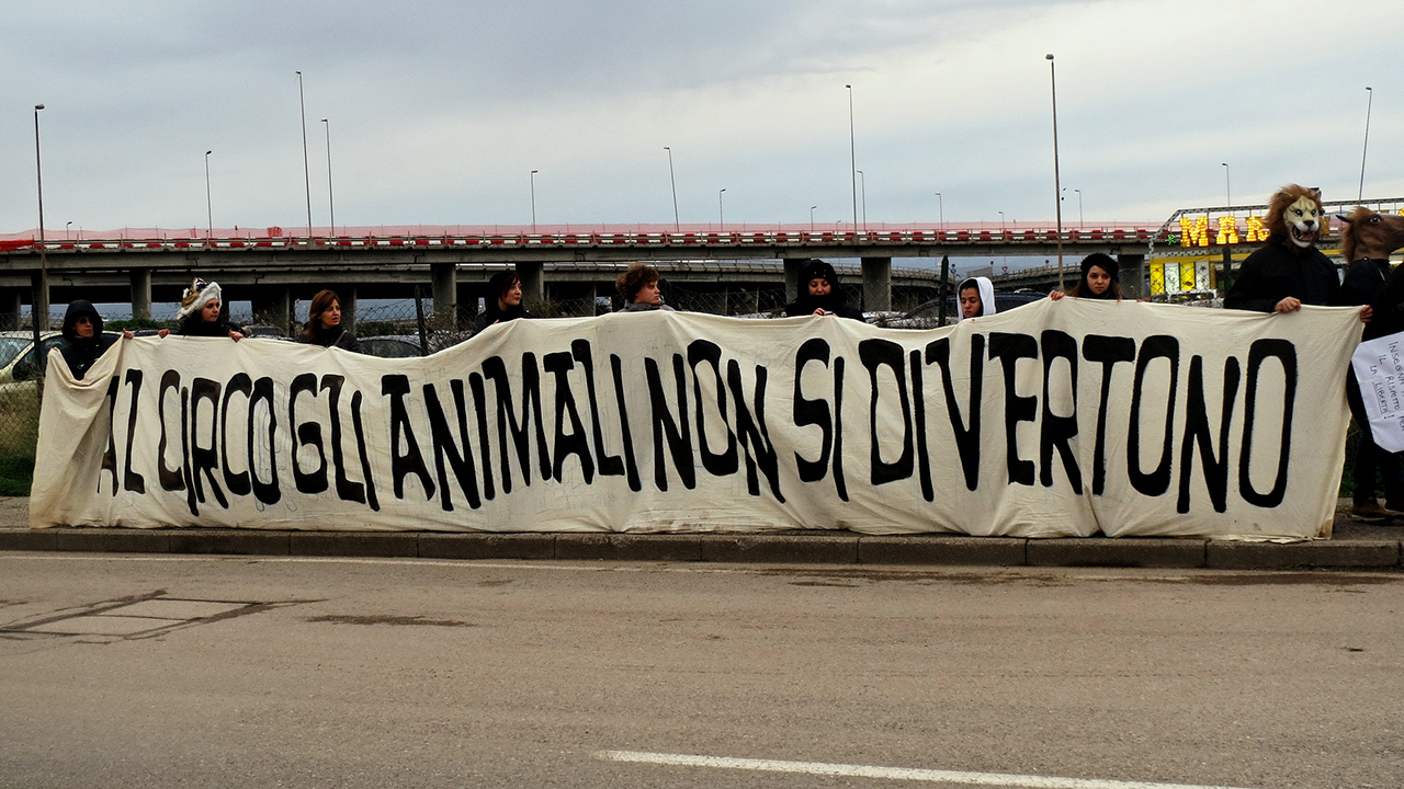Resistenza Naturale: Andrea Morabito presenta “L’ultimo spettacolo”